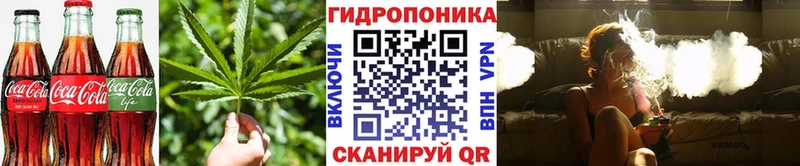 Cannafood конопля  Кирсанов 