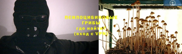 молекула духа Алексин