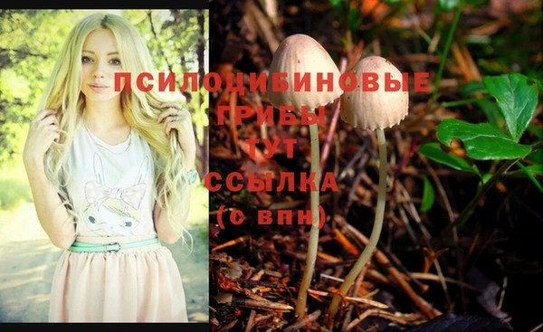хмурый Алексеевка