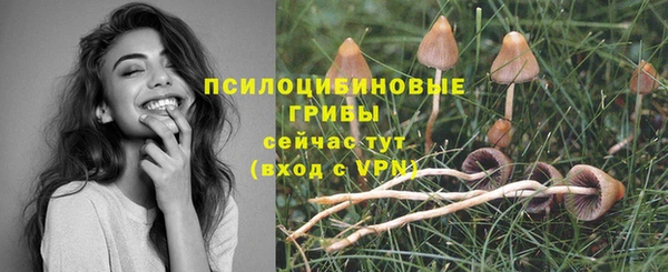 молекула духа Алексин